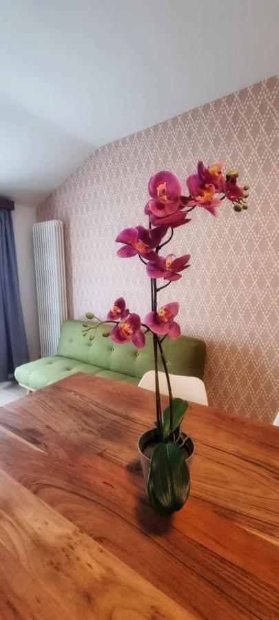 טורבולה Casa Barcelli Sport & Family Apartments מראה חיצוני תמונה